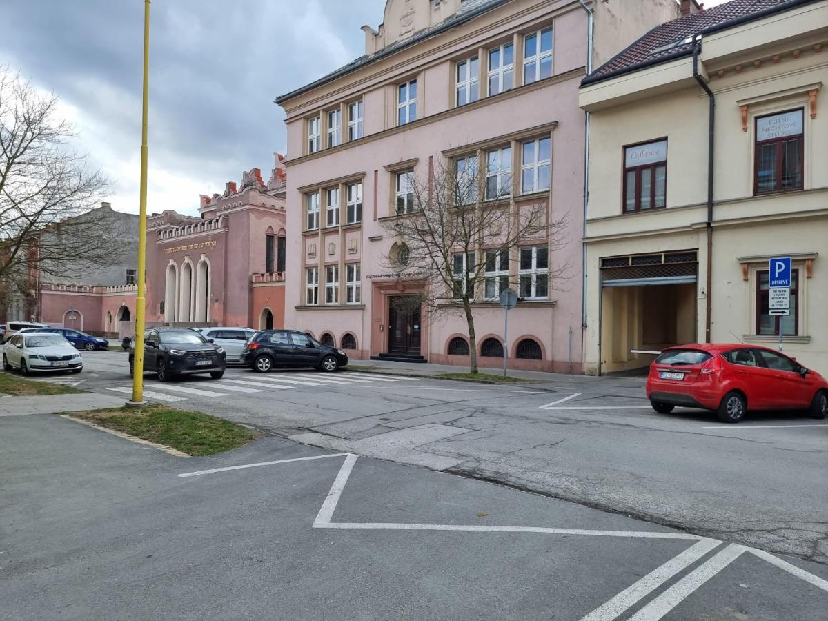 Center Apartment Mlynska Kosice With Private Parking Exterior foto