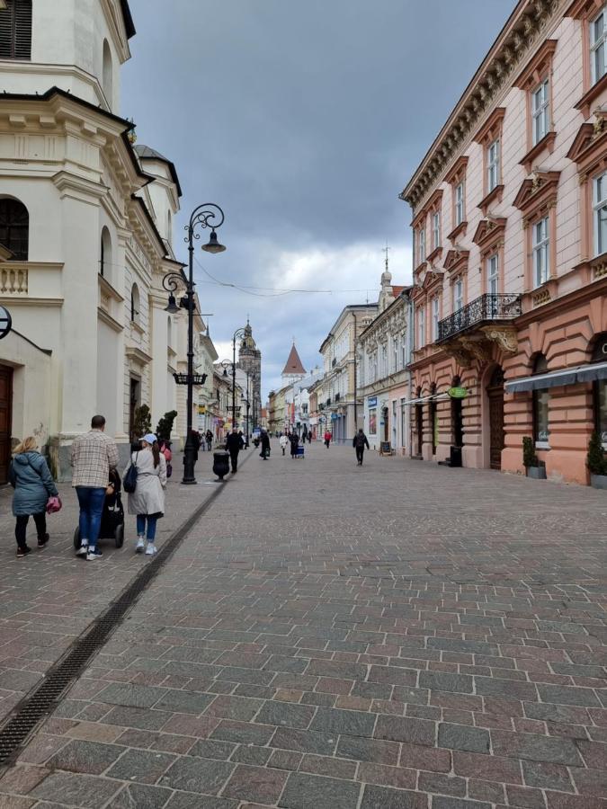 Center Apartment Mlynska Kosice With Private Parking Exterior foto